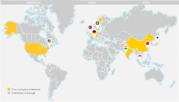 RaySafe Global Presence